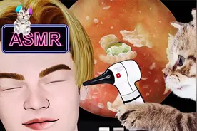帅哥长期不掏耳，猫医生第一视角沉浸式清理耳垢，过程实在太解压视频封面