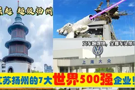 苏中崛起，入驻江苏扬州的7大超级世界500强央企国企，能带来什么视频封面