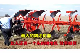 最大耕地机器，比人还要高一个头的耕地机，耕起地来效率如何视频封面