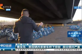 秦皇岛：大片共享电动车停放在大桥下，近百辆遭到破坏被遗弃视频封面