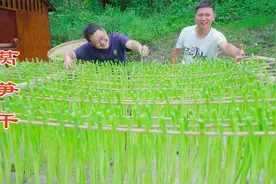 贡菜是莴笋做的吗？砍100斤莴笋来解锁一下！视频封面