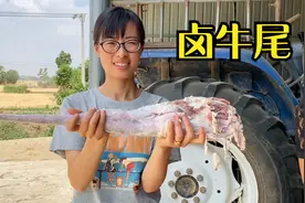 静静花126元买三斤牛尾，牛尾像牛腿一样粗吗？大块牛尾啃着过瘾