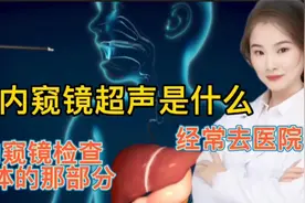 医学演绎 医生如何利用内窥镜超声检查人体内脏器官 看完你懂视频封面