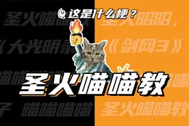 这是什么梗：圣火喵喵教？视频封面
