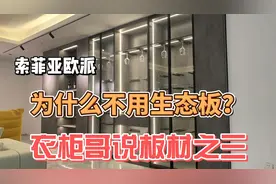 木工师傅装修做衣柜，用大品牌兔宝宝生态板怎么样，到底环保吗？视频封面