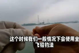 野钓翘嘴鱼如何找泳层？今天教你一个新方法，简单实用钓鱼多视频封面