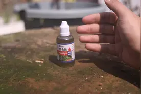 养花出现黄叶怎么办？ 园艺师教你，用螯合铁，让绿叶噌噌冒出来视频封面