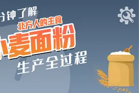 小麦的麦麸、胚芽和胚乳，哪种是生产小麦面粉的原料？答案是胚乳视频封面