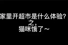 大片的魔芋制毛肚捏，猫咪是不是不能吃辣条