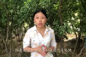 俗话说“穷不碰三艺，富不亲三人”指的是哪三艺？你可长点心吧视频封面