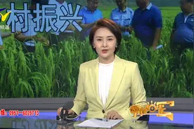 阳光关注|宁夏：108个乡村振兴科技成果引进示范推广项目成效初显视频封面