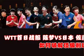 陈梦得到马琳真传，三个大招克制日本削球手视频封面