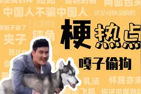 嘎子偷狗是什么梗？