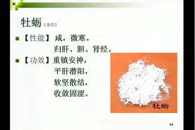牡蛎，重镇安神，平肝潜阳，软坚散结，收敛固涩视频封面
