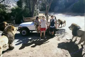 一种神秘病毒入侵动物园，动物们全都变成了丧尸，太恐怖了！视频封面