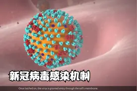 新冠病毒传播、感染人体机制-一目了然视频封面