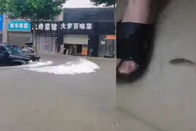 湖北武汉出现将降水天气多地积水 一高校宿舍进水有鱼游进屋内视频封面
