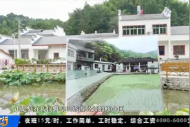 荆楚扶贫印记 | 坳上村：“绿富美”脱贫记视频封面