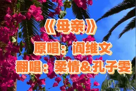 阎维文的《母亲》，歌词句句深情感恩，献给操劳了一辈子的母亲视频封面