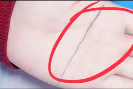 男友断掌纹，为人阳刚霸气，能掌权，成大事视频封面
