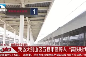 【黄黄高铁今日通车】湖北省大别山区五县市区跨入“高铁时代”视频封面