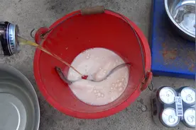黄鳝喝了啤酒会怎样？真的会增大一倍吗？5分钟后反应亮了视频封面