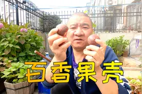 家里吃剩的百香果外壳、桔子皮不要扔！简单方法变废为宝制成肥土