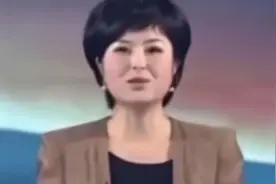 央视主播张泉灵辞职央视，147万投资漫画，2年后获利千万视频封面