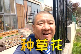草花的花种子又小又轻，用这种方法播种，方便又均匀！视频封面