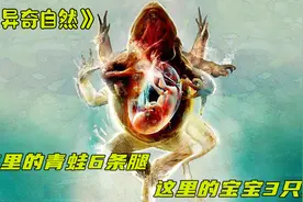 小镇的水被污染，青蛙长着6条腿，新生儿长着3只眼视频封面