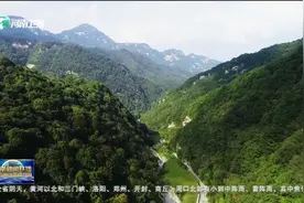 河南坚持生态优先 打造“美丽中原”视频封面