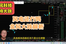 风电龙头金风科技大跌原因及后续走势分析视频封面