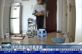 手机查监控照看小猫，不料发现家中进了贼！女子隔空喊话将其吓退视频封面