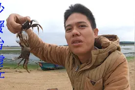 神奇的沙蟹能去虚汗，阿平要挖给宝宝煲粥，后来又都给放生了视频封面