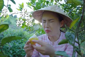 一席一果（十三）柠檬——水果入菜的鼻祖，一口酸爽的味蕾刺激视频封面