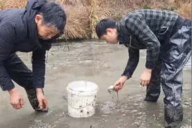 这种深山泉水鱼才是鱼中极品,平常都舍不得卖,只有过年才舍得吃了视频封面