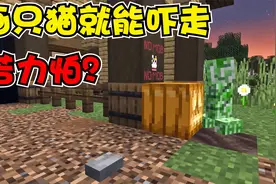 我的世界：画只猫就能吓走苦力怕！它对猫的恐惧真的无上限？视频封面
