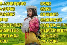 藏舞<遇上你是我的缘><为你等待><西海情歌><卓玛><乌兰巴托的夜>视频封面