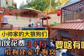 江苏80后小伙花巨资给狗建造豪华别墅做狗窝，被网友质疑太过浪费视频封面