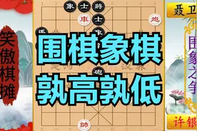 聂卫平：象棋太低级不如围棋，许银川：让你9个子玩玩吧视频封面