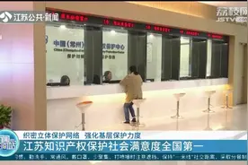 江苏知识产权保护社会满意度全国第一视频封面