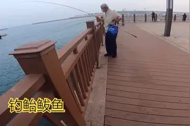 青岛小港湾后海这里垂钓的人还不少，水温挺低，很多是钓鲐鲅鱼的视频封面