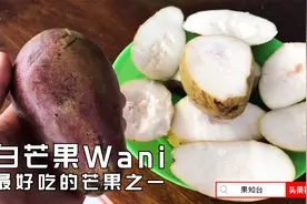 堪比榴莲！世界上最好吃的芒果之一，巴厘岛白芒果Wani