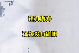 民间故事：逢九做寿_这次没有碰呀视频封面