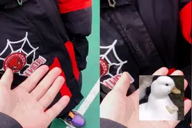 重庆老师询问小朋友兜子装的什么，没想到拿出那刻吓的老师不敢动视频封面
