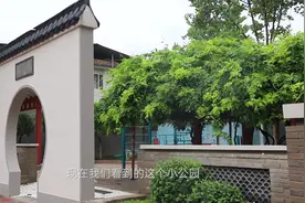 【Vlog】在现场·看变化|新华区钟旺路："中西合璧" 提升国际范儿视频封面