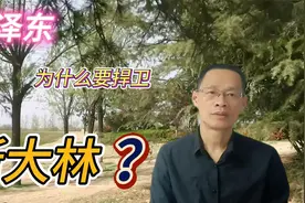 上世纪50年代的中苏大论战，充满了毛主席的政治智慧。视频封面