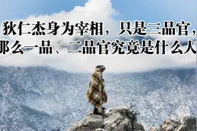 狄仁杰身为宰相，只是三品官，那么一品、二品官究竟是什么人？视频封面
