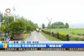 越走越远 市民指出新装路牌“南辕北辙”视频封面
