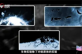 美国遍布全球的336个生物实验室到底在研究啥视频封面